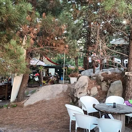 Plaza Loft Lägenhet