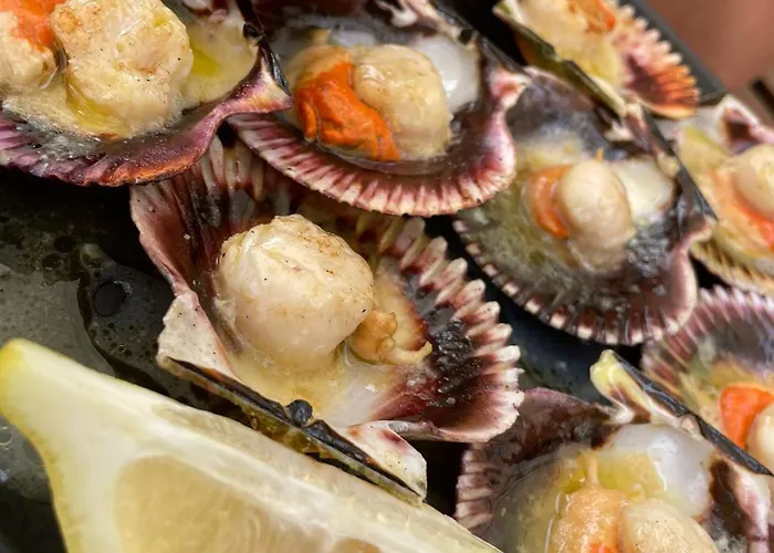 Apartman Plaza Loft *